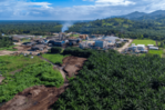 Confirman al menos 19 muertos en un ataque armado en una finca del Caribe de Honduras