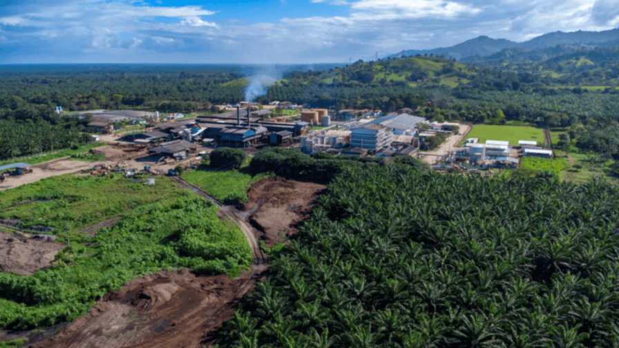 Confirman al menos 19 muertos en un ataque armado en una finca del Caribe de Honduras Confirman al menos 19 muertos en un ataque armado en una finca del Caribe de Honduras