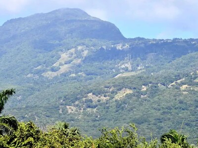 Medio Ambiente niega permisos mineros en la cordillera Septentrional