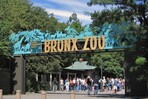 Empleado del Zool&oacute;gico de El Bronx resulta herido tras ser mordido por un cocodrilo