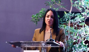 Faride Raful advierte que tomar&aacute;n medidas contra motoristas que incumplan la ley