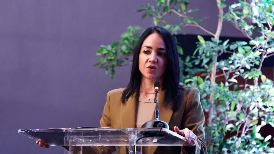 Faride Raful advierte que tomar&aacute;n medidas contra motoristas que incumplan la ley