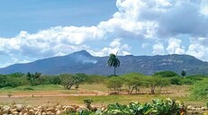 Empresa rechaza acusaciones sobre exploraciones