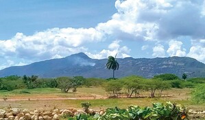 Empresa rechaza acusaciones sobre exploraciones