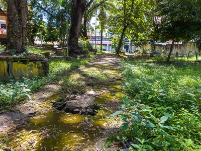 Junta de Vecinos denuncia abandono total del parque de El Condado