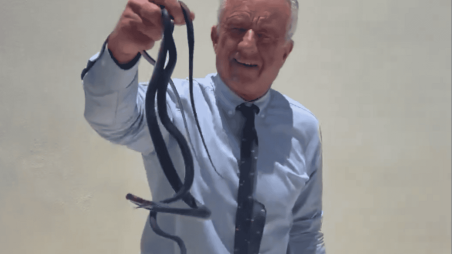 Se viraliza un video del secretario de Salud de EE. UU. capturando dos serpientes con la mano Se viraliza un video del secretario de Salud de EE. UU. capturando dos serpientes con la mano