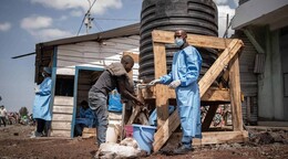 La OMS eleva a 223 las muertes sospechosas por la epidemia de &eacute;bola en la RD del Congo