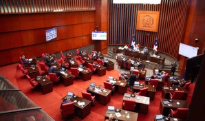 Senado aprueba en primera lectura proyecto que modifica ley de partidos en relaci&oacute;n a dinero il&iacute;cito