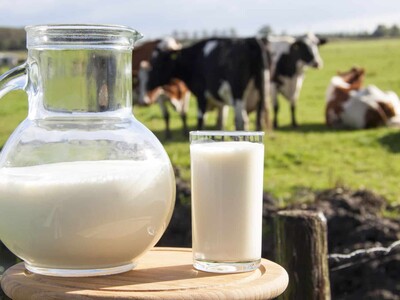 América Latina y el Caribe impulsan agenda para el sector lechero