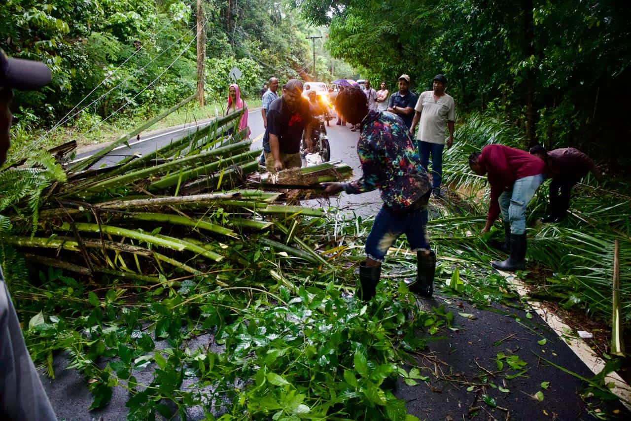 Ciudadanos cortan una palma para permitir el paso por la carretera Bayaguana-Hato Mayor.