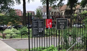 Mujer muere tras recibir disparo en la cabeza frente a parque infantil en El Bronx