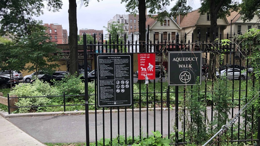 Mujer muere tras recibir disparo en la cabeza frente a parque infantil en El Bronx Mujer muere tras recibir disparo en la cabeza frente a parque infantil en El Bronx