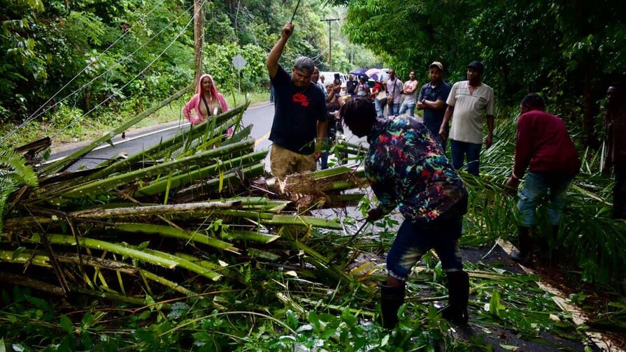 Un grupo de comunitarios se expone al peligro y retira palma caída sobre cables de alta tensión en Bayaguana Un grupo de comunitarios se expone al peligro y retira palma caída sobre cables de alta tensión en Bayaguana