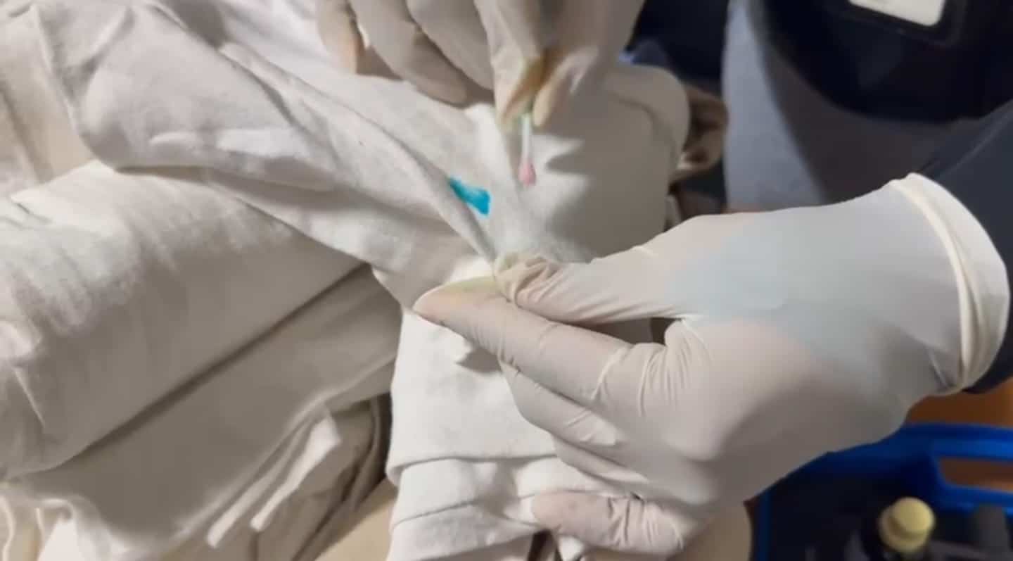 Las 49 prendas de vestir impregnadas de presunta cocaína.