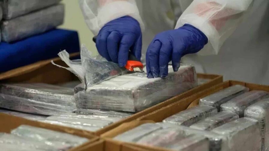 Hallan en un puerto de Ecuador 294 kilos de cocaína que iban a ser enviados a Europa Hallan en un puerto de Ecuador 294 kilos de cocaína que iban a ser enviados a Europa