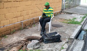Mosquitos y basura se acumulan en imbornal abierto en calle de Bella Vista