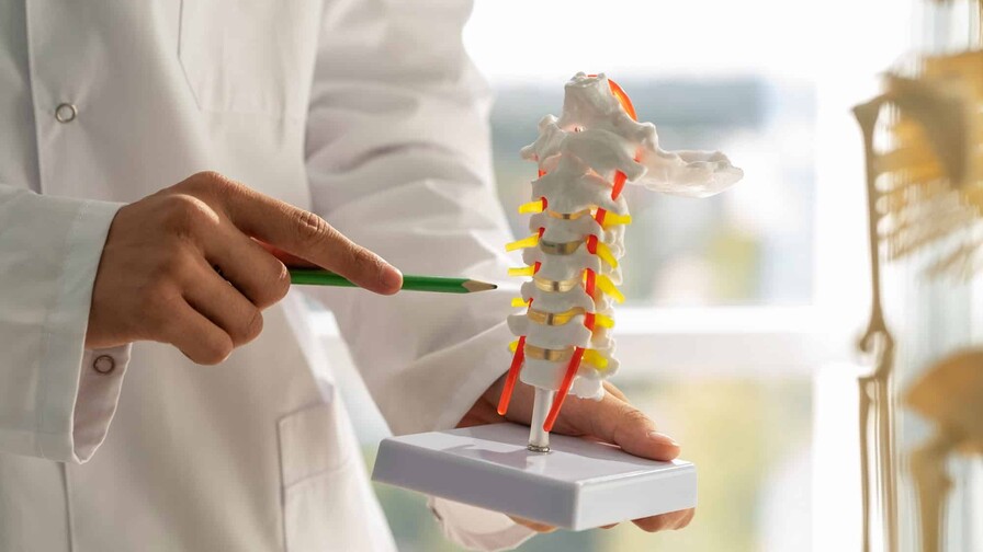 "El sedentarismo está dañando nuestra columna", advierte médico ortopeda "El sedentarismo está dañando nuestra columna", advierte médico ortopeda
