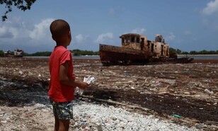 El sargazo en descomposici&oacute;n envuelve al malec&oacute;n de Barahona en un hedor inaguantable