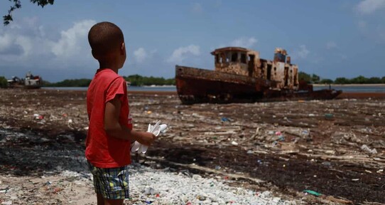 El sargazo en descomposici&oacute;n envuelve al malec&oacute;n de Barahona en un hedor inaguantable