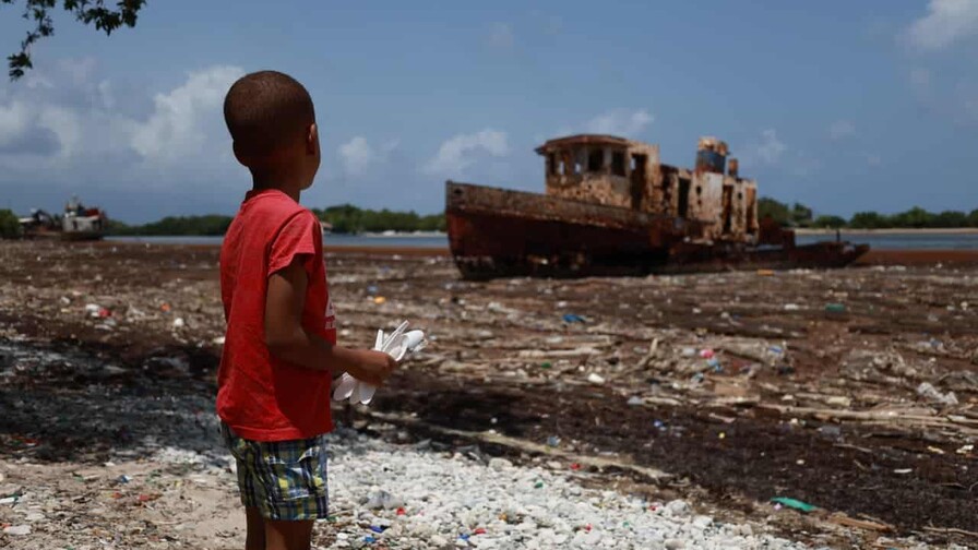 El sargazo en descomposición envuelve al malecón de Barahona en un hedor inaguantable El sargazo en descomposición envuelve al malecón de Barahona en un hedor inaguantable