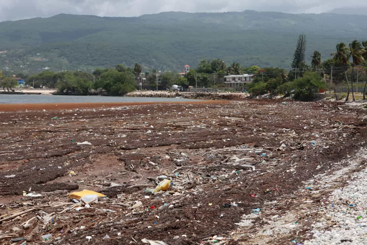 Acumulaciones de sargazo y residuos plásticos cubren una playa de Barahona, el 29 de mayo de 2026.