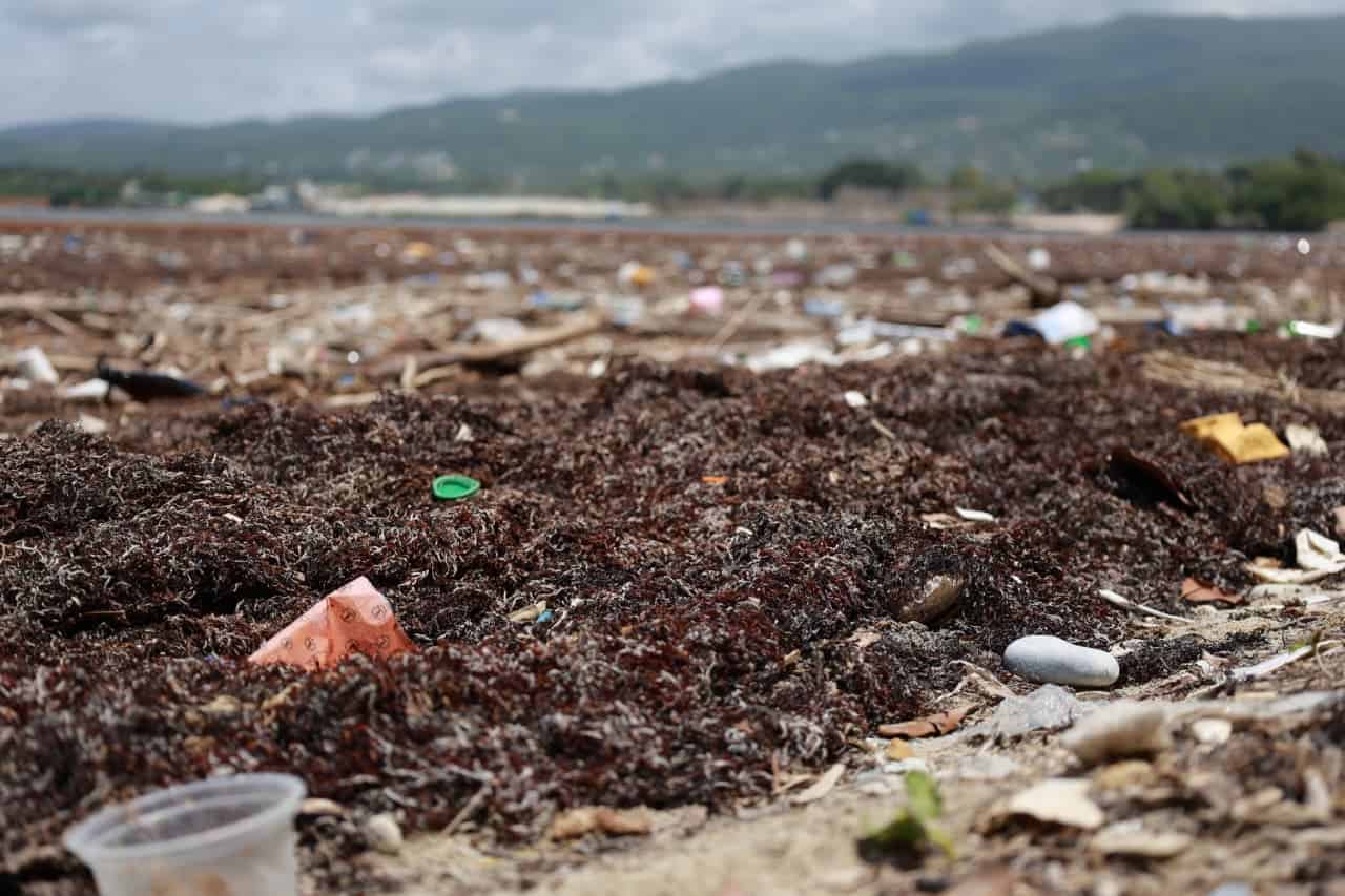 Acumulaciones de sargazo y residuos plásticos cubren una playa de Barahona, el 29 de mayo de 2026.
