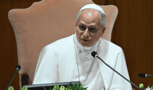El papa Le&oacute;n XIV se&ntilde;ala el reto urgente de la relaci&oacute;n entre salud mental y tecnolog&iacute;as digitales