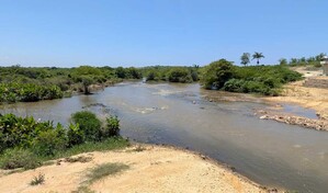 Dajab&oacute;n reclama la Presa de Don Miguel ante nuevas p&eacute;rdidas millonarias por crecidas del r&iacute;o Masacre