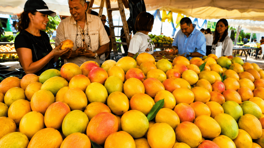 Expo Mango 2026: la cosecha de una identidad Expo Mango 2026: la cosecha de una identidad