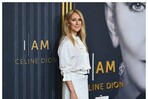 Identifican posible tratamiento para la enfermedad que padece Céline Dion