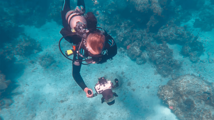 Encuentran restos de seis nav&iacute;os hundidos por piratas del Caribe en aguas de las Bahamas