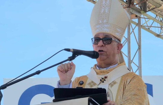 Arzobispo de Santiago: Vivimos en un pa&iacute;s herido por la vergonzosa violencia intrafamiliar