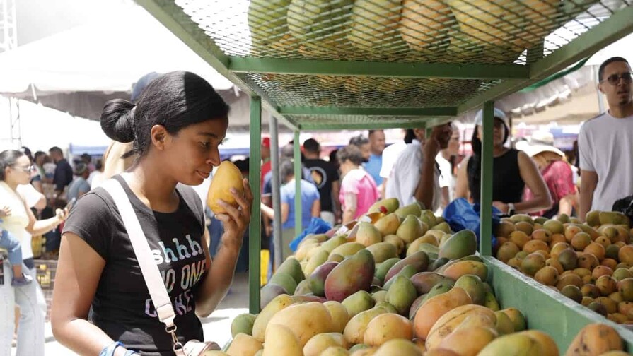 &iquest;Por qu&eacute; Ban&iacute; es la capital dominicana del mango?
