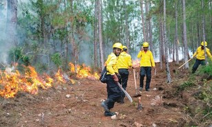 Incendios forestales amenazan la resiliencia ambiental