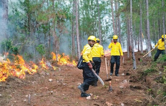 Incendios forestales amenazan la resiliencia ambiental