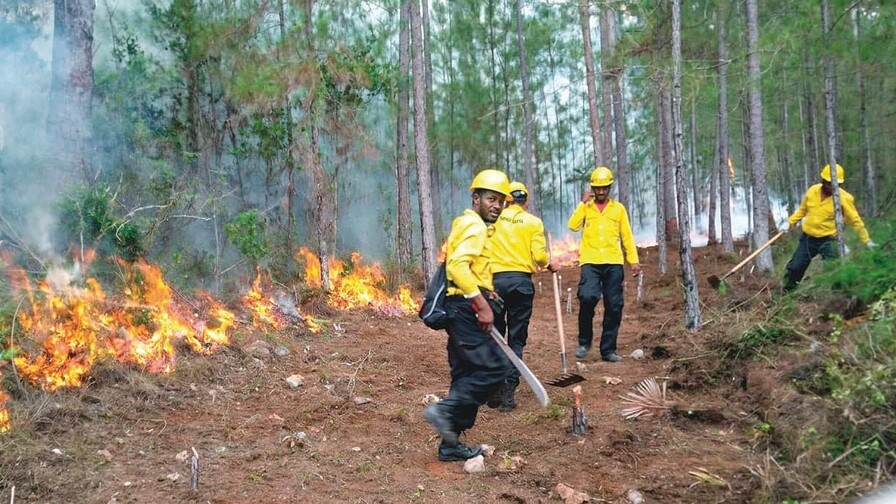 Incendios forestales amenazan la resiliencia ambiental