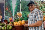 M&aacute;s de 300 tipos de mangos criollos son presentados en la feria Ban&iacute;