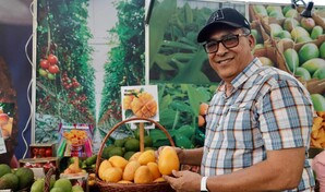 M&aacute;s de 300 tipos de mangos criollos son presentados en la feria Ban&iacute;