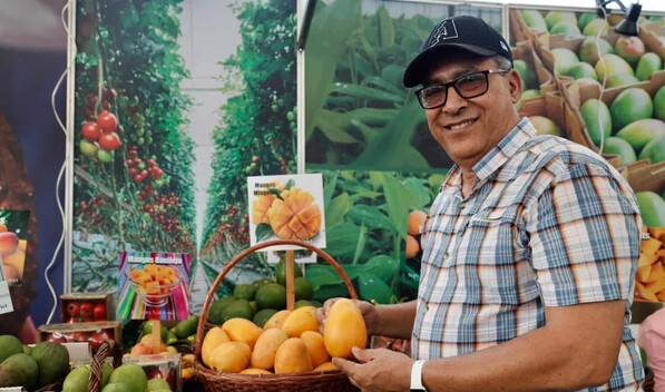 M&aacute;s de 300 tipos de mangos criollos son presentados en la feria Ban&iacute;
