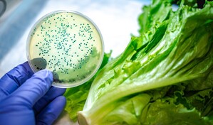 OMS advierte que contaminaci&oacute;n alimentaria causa 1.5 millones de muertes globales cada a&ntilde;o