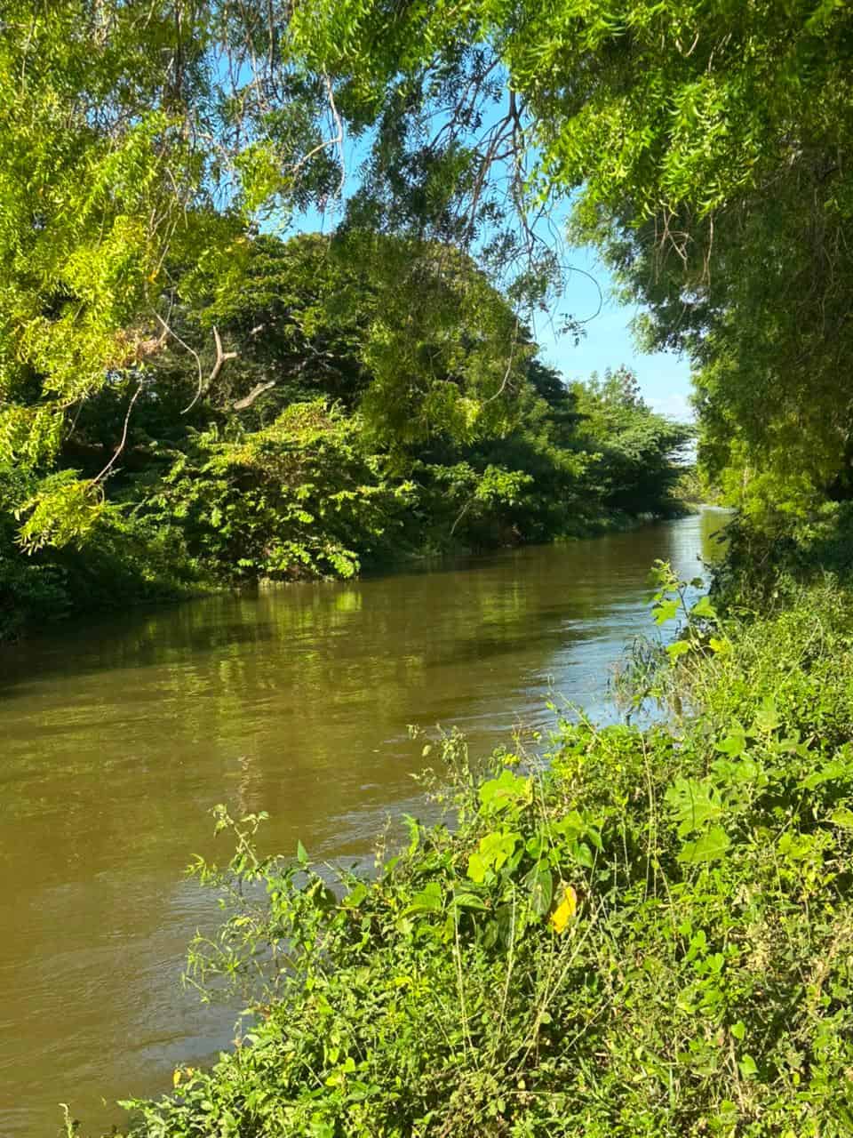 Lugar donde fue encontrado el cad&aacute;ver de  Daniel Luna
