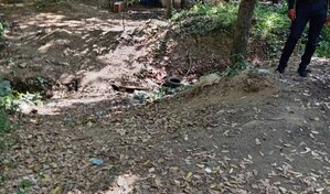 Arrestan hombre acusado de matar a una mujer cuyo cuerpo fue hallado en una ca&ntilde;ada de Rafey