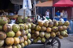 Las Bahamas se perfila como mercado clave para la expansi&oacute;n del coco dominicano