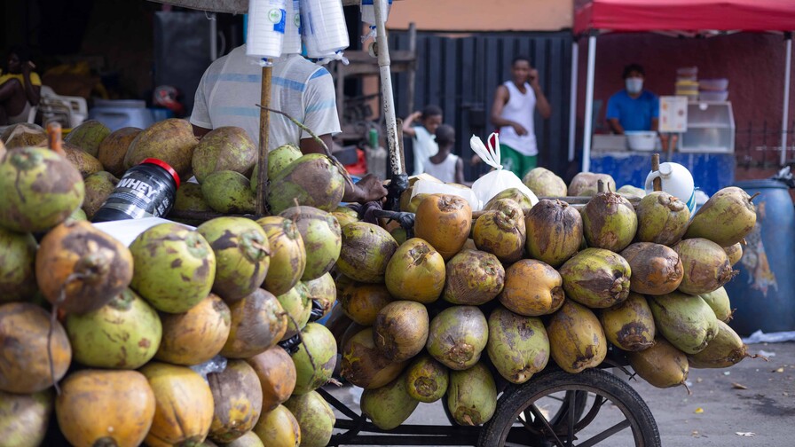 Las Bahamas se perfila como mercado clave para la expansión del coco dominicano Las Bahamas se perfila como mercado clave para la expansión del coco dominicano
