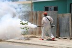 Salud Pública reporta baja en dengue y malaria, pero aumento de casos de leptospirosis Salud Pública reporta baja en dengue y malaria, pero aumento de casos de leptospirosis