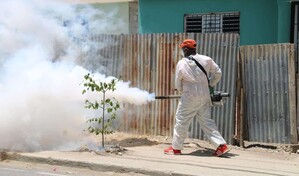Salud P&uacute;blica reporta baja en dengue y malaria, pero aumento de casos de leptospirosis