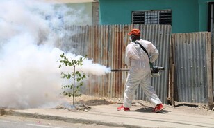 Salud P&uacute;blica reporta baja en dengue y malaria, pero aumento de casos de leptospirosis