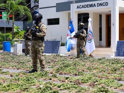 La DNCD incauta dos grandes cultivos de marihuana en la regi