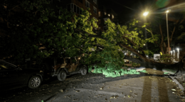 Muere anciano de 85 a&ntilde;os tras ser golpeado por un &aacute;rbol durante una tormenta en Queens