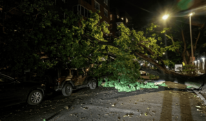 Muere anciano de 85 a&ntilde;os tras ser golpeado por un &aacute;rbol durante una tormenta en Queens